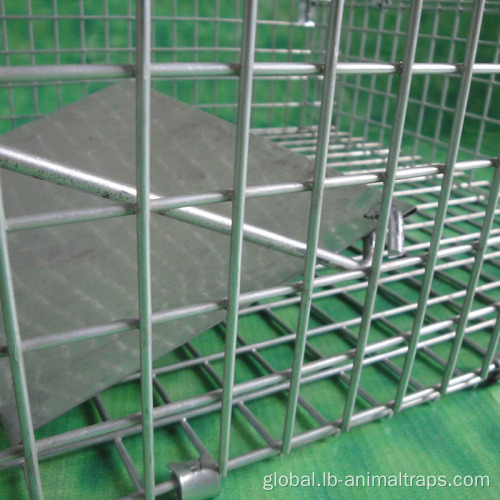 Bird Aviaries for Sale Animal Cage Traps Live Bird Trap Factory